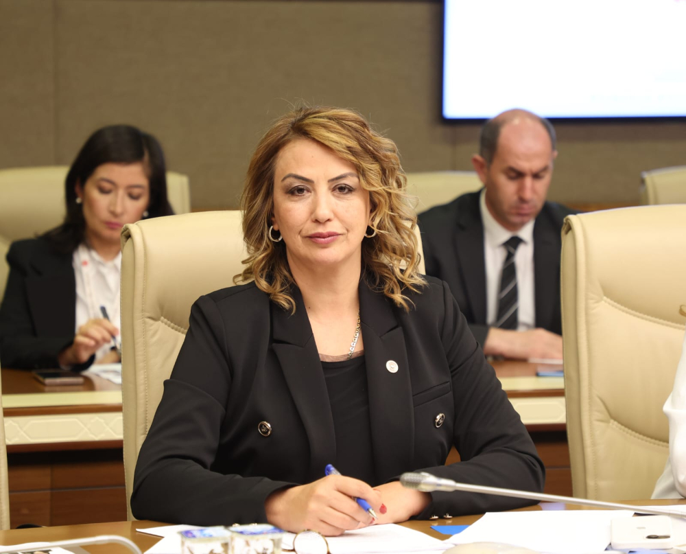 NERMİN YILDIRIM KARA: SAYIN BAKAN MEMLEKETİNİN SORUNLARINA DA KULAK VERMELİ